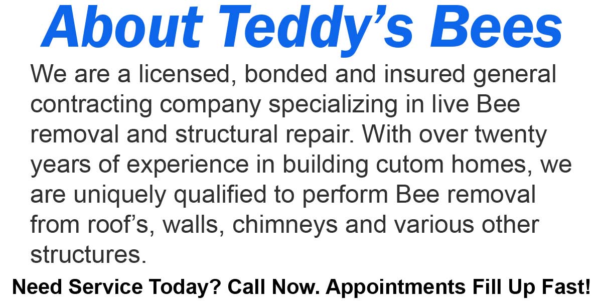 Teddys Bee Removal company logo with text that says, About Teddy,s Bee Removal.We are a licensed, bonded, and insured general contracting company specializing in live bee removal and structural repair. With over twenty years of experience in building custom homes, we are uniquely qualified to perform bee removal from roofs, walls, chimneys and various other structures. Call now. Appointments fill up fast.