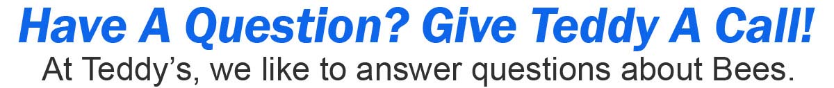 Teddys Bee Removal company logo with text asking if you have any questions regarding bee removal.