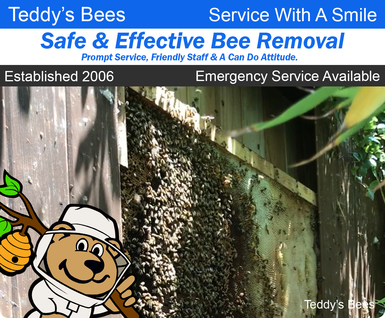 picture of live bee rmoval from one of our many customers wood fences. nav image.