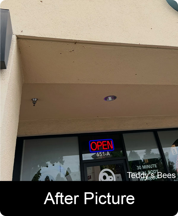 Picture of a bee swarm on a commercial building after removal. nav link image