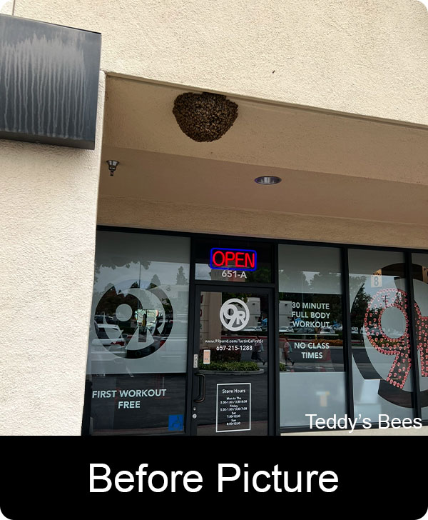 Picture of a bee swarm on a commercial building. nav link image