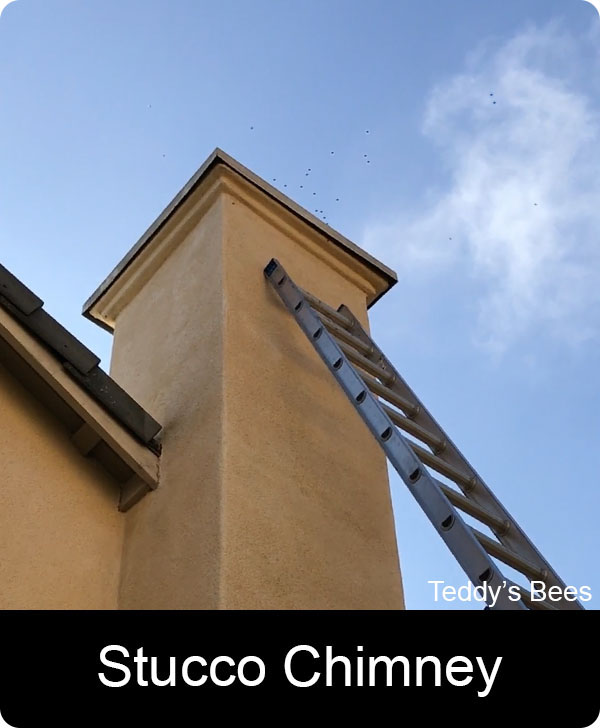 picture of a teddys bee removal employee on a ladder removing bees from a stucco wrapped chimney.
