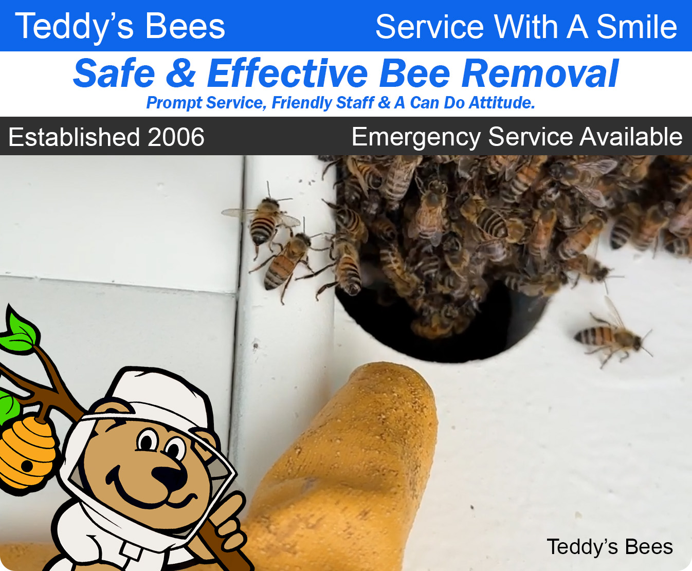 picture of a bee removal from the eave vent of a house.